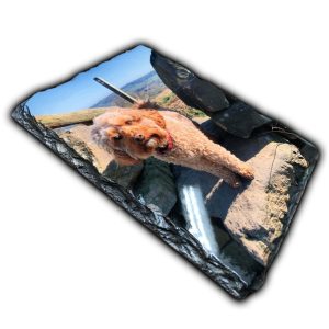 20x15cm Printed Photo Slates